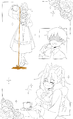 "For you, Mister", p2 par [Neill Ayane]