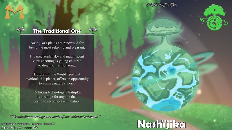 Fichier:Presentation en 13-NSJ.png